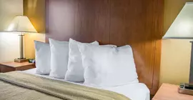 Quality Inn Tomah | Wisconsin - Black River Şelaleleri (ve civarı) - Tomah