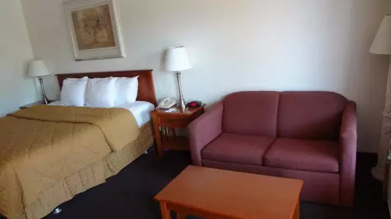 Econo Lodge Airport at Raymond James Stadium | Florida - Tampa (ve civarı) - Tampa