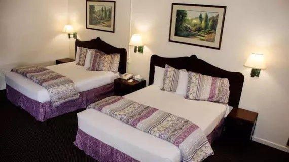 Carmel Hill Lodge / Knights Inn | Kaliforniya - Monterey (ve civarı) - Monterey