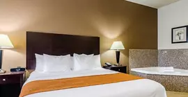 Comfort Inn & Suites Lawrence | Kansas - Topeka (ve civarı) - Lawrence