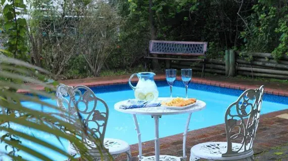 Yellowwood Lodge | Western Cape (il) - Knysna