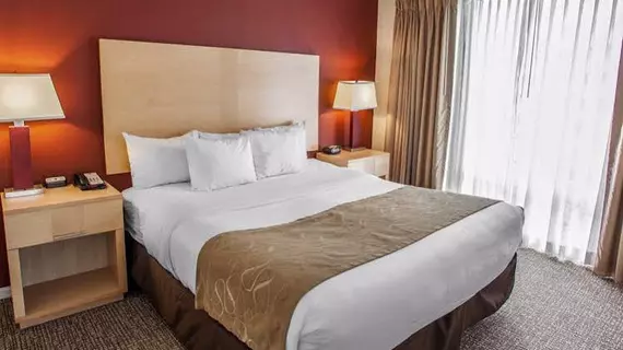 Comfort Suites Michigan Avenue | İllinois - Chicago (ve civarı) - Chicago - The Loop