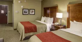 Comfort Inn & Suites Morgan City | Louisiana - Morgan City (ve civarı) - Morgan City