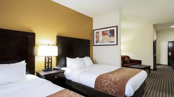 Comfort Suites North Pflugerville | Teksas - Austin (ve civarı) - Pflugerville