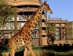 Disney's Animal Kingdom Lodge | Florida - Orlando (ve civarı) - Lake Buena Vista - Bay Lake