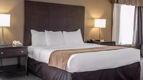 Comfort Inn Downers Grove | İllinois - Downers Grove