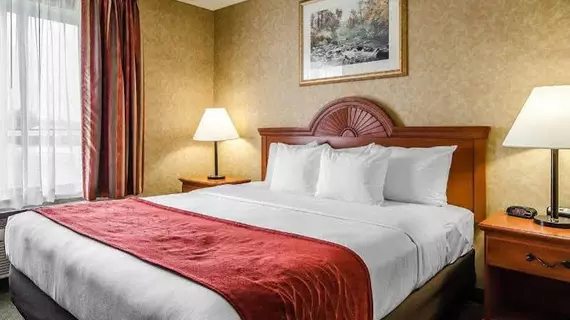 Comfort Inn & Suites | Kentucky - Owensboro (ve civarı) - Rockport