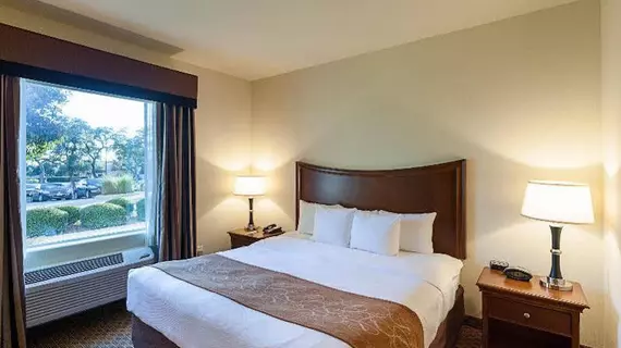 Comfort Suites Stone Oak | Teksas - San Antonio (ve civarı) - San Antonio - Kuzey San Antonio - SAT Havalimanı