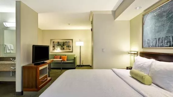 SpringHill Suites Lexington Near the University of Kentucky | Kentucky - Lexington (ve civarı) - Lexington