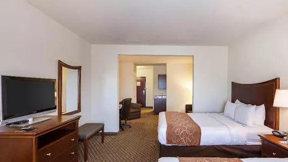 Comfort Suites Stone Oak | Teksas - San Antonio (ve civarı) - San Antonio - Kuzey San Antonio - SAT Havalimanı