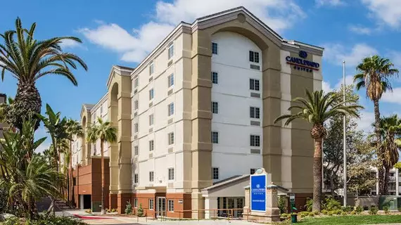 Candlewood Suites Anaheim Resort Area | Kaliforniya - Orange County - Anaheim - Anaheim Resort