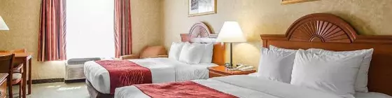 Comfort Inn & Suites | Kentucky - Owensboro (ve civarı) - Rockport