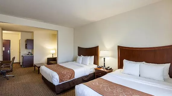 Comfort Suites Stone Oak | Teksas - San Antonio (ve civarı) - San Antonio - Kuzey San Antonio - SAT Havalimanı