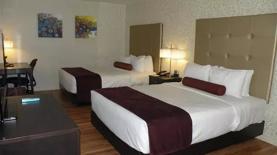 Best Western Plus Montreal Downtown- Hotel Europa | Quebec - Montreal (ve civarı) - Montreal - Golden Square Mile