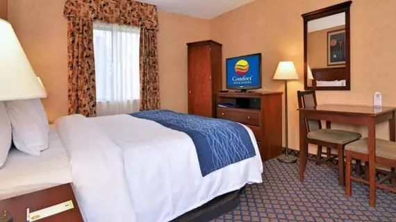 Comfort Inn & Suites Coldwater | Michigan - Kalamazoo (ve civarı) - Coldwater