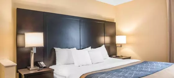 Comfort Inn & Suites Galleria | Georgia - Atlanta (ve civarı) - Smyrna