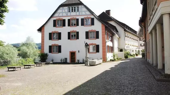 Ringhotel Goldener Knopf | Baden-Wuerttemberg - Bad Saeckingen