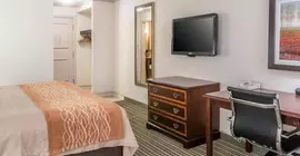 Comfort Inn Plainwell | Michigan - Kalamazoo (ve civarı) - Plainwell