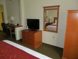 Comfort Suites Normal | İllinois - Bloomington (ve civarı) - Normal