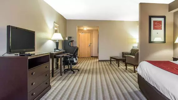 Comfort Suites Smyrna | Tennessee - Nashville-Davidson - Nashville (ve civarı) - Smyrna