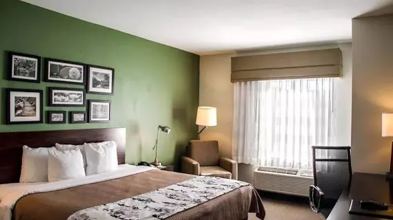 Sleep Inn & Suites Evergreen | Alabama - Evergreen (ve civarı) - Evergreen