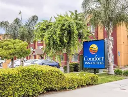 Comfort Inn & Suites Salinas | Kaliforniya - Monterey (ve civarı) - Salinas