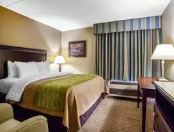 Comfort Inn Edison | New Jersey - Franklin Township - Somerset (ve civarı) - Edison