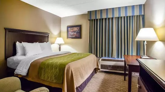 Comfort Inn Edison | New Jersey - Franklin Township - Somerset (ve civarı) - Edison