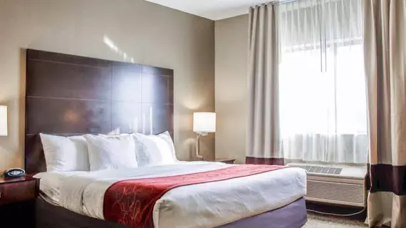 Comfort Suites Lombard/Addison | İllinois - Lombard