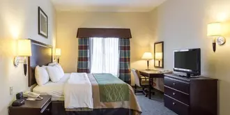 Comfort Inn Donaldsonville