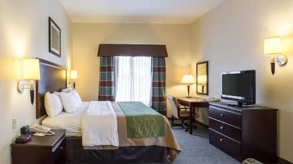 Comfort Inn Donaldsonville | Louisiana - Donaldsonville