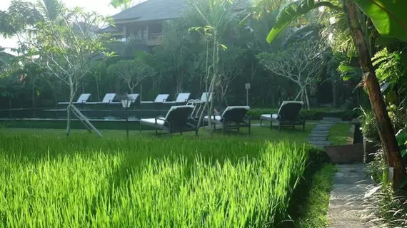 Bliss Bungalow | Bali - Ubud - Kedewatan