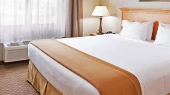 Holiday Inn Express Hotel & Suites Chesterfield - Selfridge Area | Michigan - Detroit (ve civarı) - Chesterfield