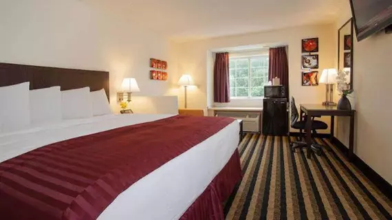 Jacksonville Plaza Hotel and Suites | Florida - Jacksonville (ve civarı) - Jacksonville