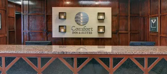 Comfort Inn DFW Airport South | Teksas - Dallas (ve civarı) - Irving