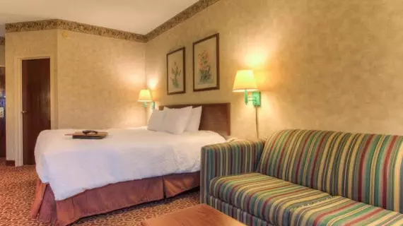 Hampton Inn Chattanooga I24 West Lookout Mountain | Tennessee - Chattanooga (ve civarı) - Chattanooga - Tiftonia