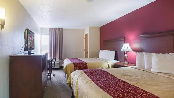 Comfort Inn Music City | Tennessee - Nashville-Davidson - Nashville (ve civarı) - Nashville