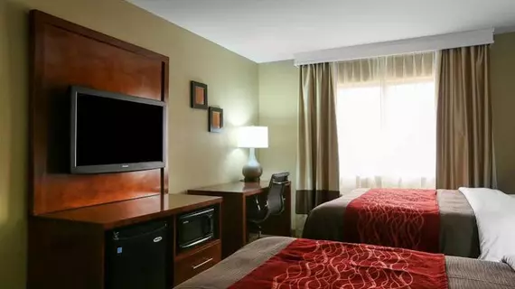 Comfort Inn & Suites Leeds | Alabama - Birmingham (ve civarı) - Leeds