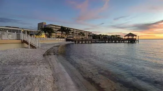 Bay Harbor Hotel | Florida - Tampa (ve civarı) - Tampa