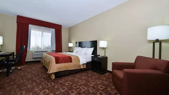 Comfort Inn & Suites Page | Arizona - Page