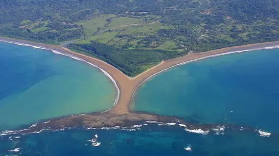 Vista Ballena | San Jose (ili) - Dominical (ve civarı) - Ballena