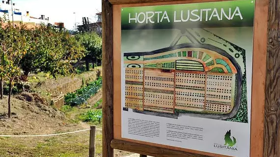 Lusitania | Centro - Guarda Bölgesi - Guarda