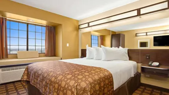 Microtel Inn & Suites by Wyndham Round Rock | Teksas - Austin (ve civarı) - Round Rock