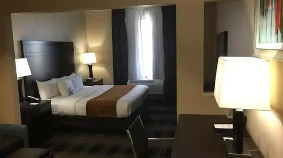 Comfort Suites Houston | Teksas - Houston (ve civarı) - Houston