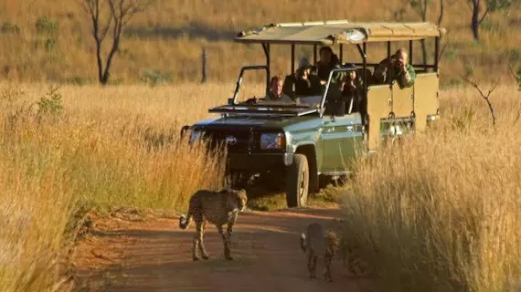 Kololo Game Reserve | Limpopo - Waterberg District - Vaalwater