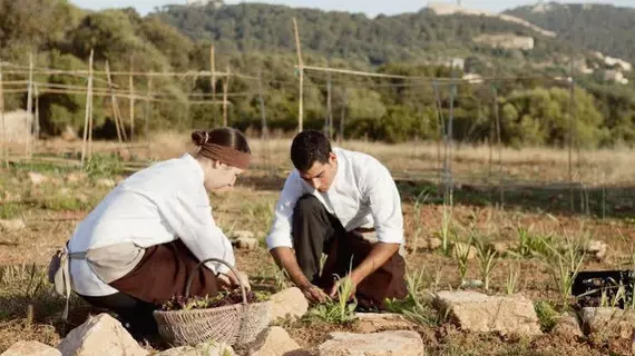 Predi Hotel Son Jaumell | Balearic Adaları - Mayorka Adası - Llevant