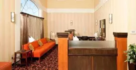 Fairfield Inn & Suites by Marriott San Francisco Airport | Kaliforniya - San Fransisko (ve civarı) - Millbrae