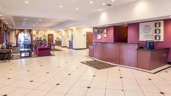 COMFORT INN & SUITES | Nevada - Clark County - Las Vegas (ve civarı) - Las Vegas