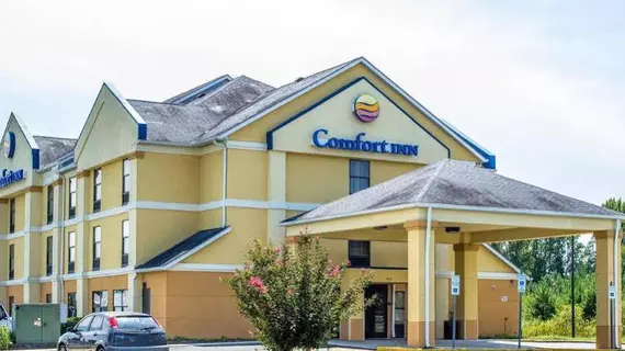 Comfort Inn Dunn | Kuzey Karolayna - Fayetteville (ve civarı) - Dunn