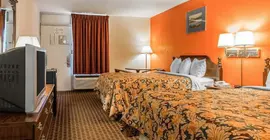 Econo Lodge | Alabama - Scottsboro (ve civarı) - Scottsboro